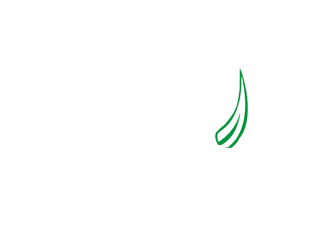 GW_Braustueble_Logo_